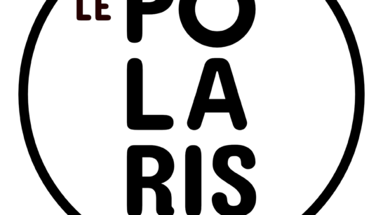 Logo Polaris