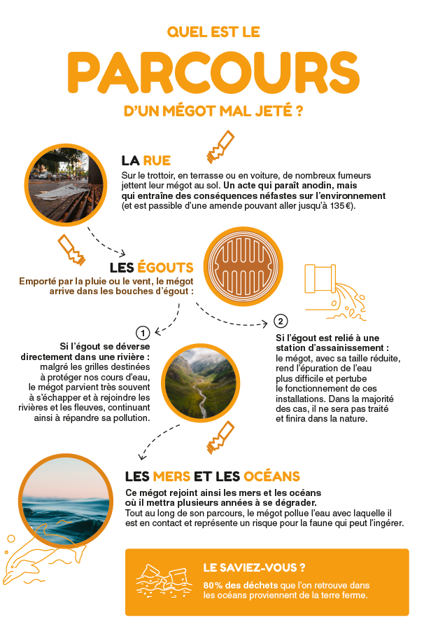 Schéma Quel est le parcours d'un mégot mal jeté ?