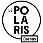 Logo Polaris